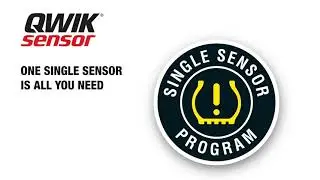Standard® Single Sensor TPMS Program