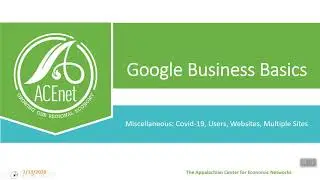 Google Business Basics   Websites, Reviews, Users, etc