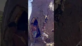 Unique Tribe Lives on BIG tree Baobab /Hadzabe house 