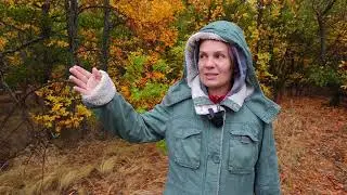 Оренбург.  Репортаж с агроухода 26.09.22