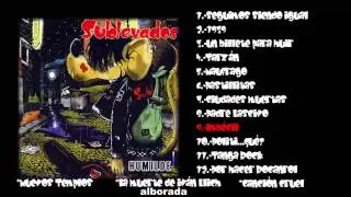 SUBLEVADOS-Imbecil
