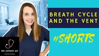 Respirations and Vent Settings | 