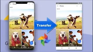 How to Move Google Photos from One Account to Another on Android Device