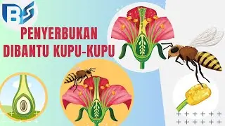 ANIMASI PROSES PENYERBUKAN PADA TUMBUHAN DIBANTU LEBAH