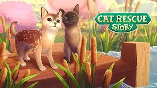 Cat Rescue Story - Google