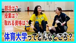 【進路の参考に！】体育大学ってどんなところ？？【バレーボール】