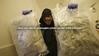 OG Pezo ft. Lucio101 - 101 (Türkçe Çeviri)
