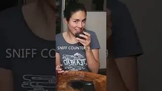 The SMELL SUCKER in 