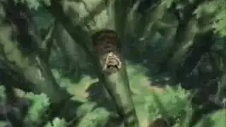 Naruto - Man Overboard.wmv