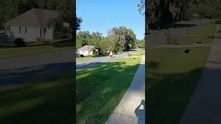 What is happening #funny #viral #chicken