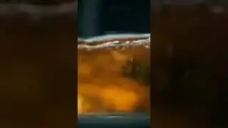 whiskey 🔥🍸💧#shorts #trending #cocktail #vodka #ytshorts