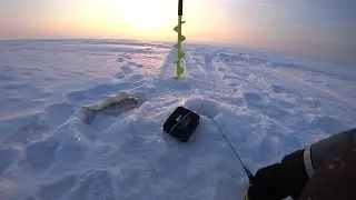 Судак на ОВХ. Шарап.  Слом погоды.
