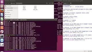 Linux command sed  -   