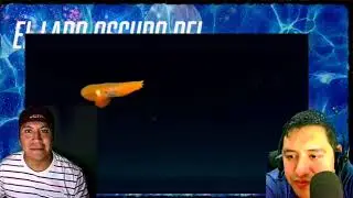 El lado oscuro del océano: Mounstros