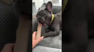 Это любовь) И она взаимная)