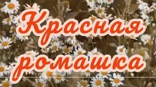 Муса Джалиль 