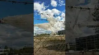 Пакет и колючая проволока