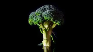 and to my favorite wife, a broccoli...