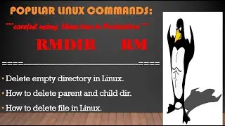 Linux  rmdir rm | remove empty directory | remove file