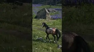 RDR2 Has The BEST Horses and there are MORE! | Custom Horse Mods