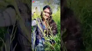 Hot girls likee/ tiktok