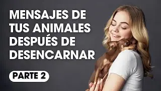 VÍDEO DE ORO: Los mensajes de tus animales después de desencarnar, por Verónica Kenigstein PARTE 2