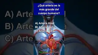 Quiz Cuerpo Humano 8 #quiz #quiztime #cultura #fypシ #fypシ゚viralシ #culturageneral  #fypシ #fypシ゚viral