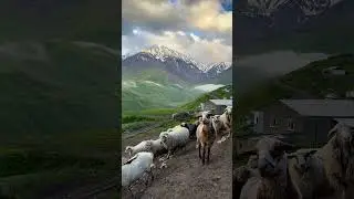 Самое высокогорное село Европы — КУРУШ 
