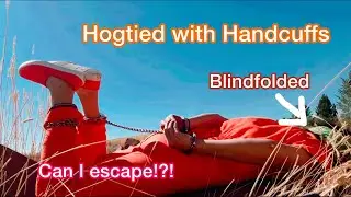 Hogtied with handcuffs!! Blindfolded!