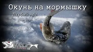 Окунь на мормышку. Первый лед 2019.