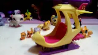 Lps kittens