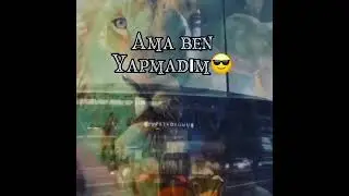 Ben hata yapmadım ♥️💛