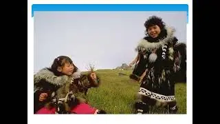 Арктические пустыни, тундра и лесотундра