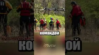 Профессионально поможет отыскать питомца