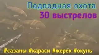 Подводная охота 30 выстрелов: Сазан, Карась, Жерех и Окунь