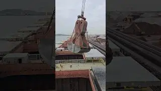 🚢 EVER Seen a Bulk Ship Unloading? 🌊