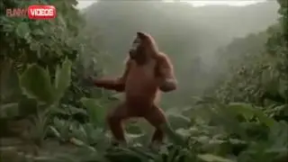 I Like to Monkey Move it