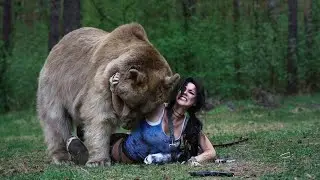 Медведь шатун погрыз вахтовиков на Чаянде  The connecting rod bear gnawed the shift workers