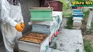 Arı birleştirmede zahmetsiz basit yöntem