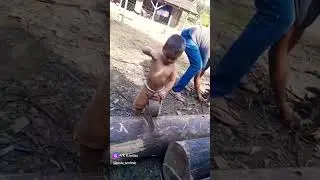 The little Woodcutter