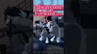 it's alway one step forward and 3 steps back...