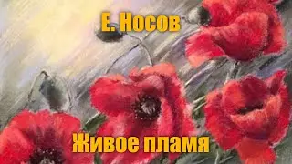 Е. Носов 