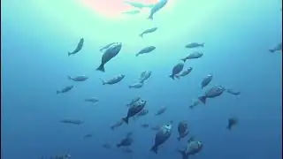 Popa de El Sirio, Cabo de Palos, Julio de 2023