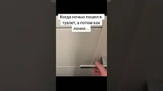 Плов: решил сходить в туалет ночью