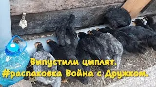 Деревенские хлопоты. Выпустили цыплят. #распаковка Жара. Война с Дружком.
