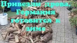 ПРИВЕЗЛИ ДРОВА