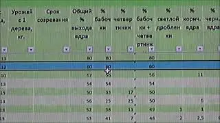 Результаты колки 2020. Часть I. Февраль 2021