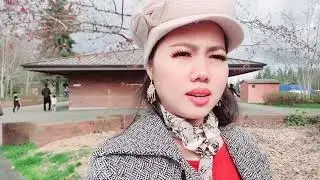 On the way To Tulip flower in USA 2022