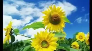 Моему виртуальному другу