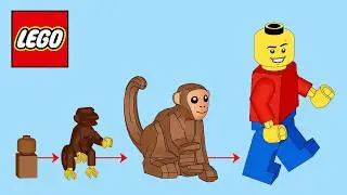 40 Years of LEGO Animals...